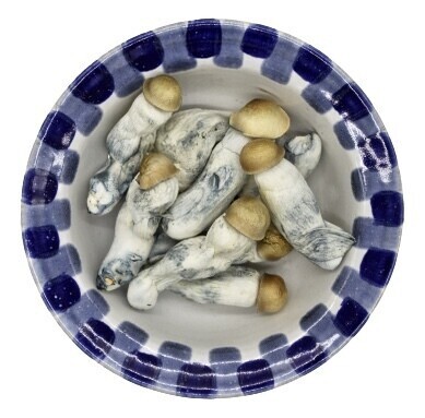 Lyophilized Penis Envy Magic Mushrooms