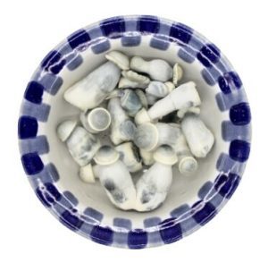 Lyophilized Albino Penis Envy Magic Mushrooms